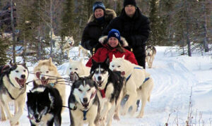 dogSled_012