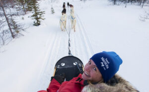 dogSled_02