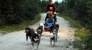 dogSled_031