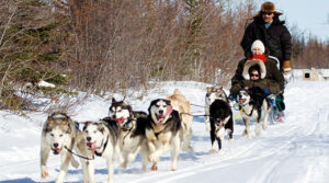 dogSled_07